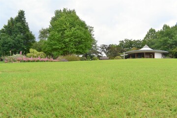 植物園、芝生、公園、紫陽花、小道、ロード、石畳、びわ湖
