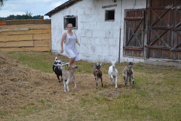 Beautiful young girl with goats in a pen on a farm