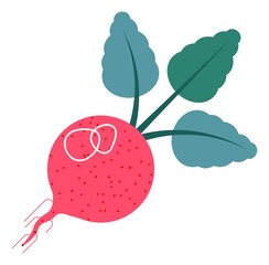 Radish with leaves, organic vegetable natural meal