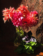 Bouquet with dahlias and basil