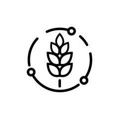 Wheat icon vector. Vector farm wheat ears icon template. Linear whole grain symbol illustration.