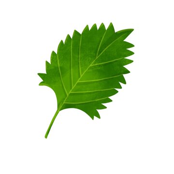 Wcjhgbz2a5yt0m Wcjhgbz2a5yt0m