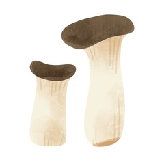 きのこ手描きイラスト　エリンギ