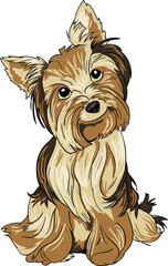 Maltese Yorkshire Terrier is sitting in front  drawing vector illustration dog