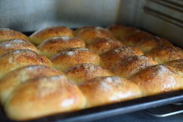 Freshly baked bread rolls. Tasty buns with sesame in the baking oven