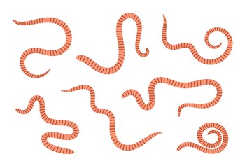 Earthworm logo. Isolated earthworm on white background