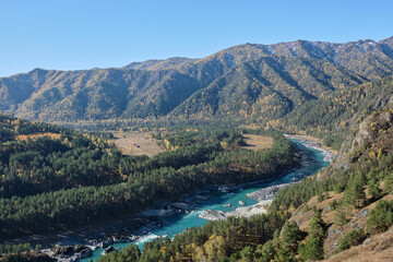 Fototapeta na wymiar Turquoise river Katun in the mountains.