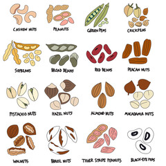 Hand drawn organic cereal and grain seed collection in doodle art style on white background
