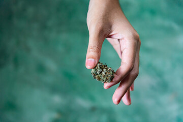 hand holding long green dried marijuana bud isolated on dark background. recreational and medical cannabis concept. select focus.