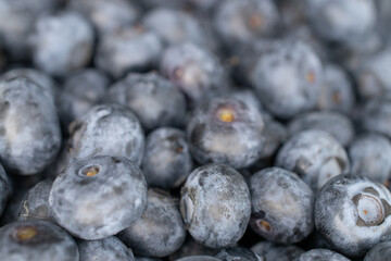 Several dark blue berries of blueberries, close-up.