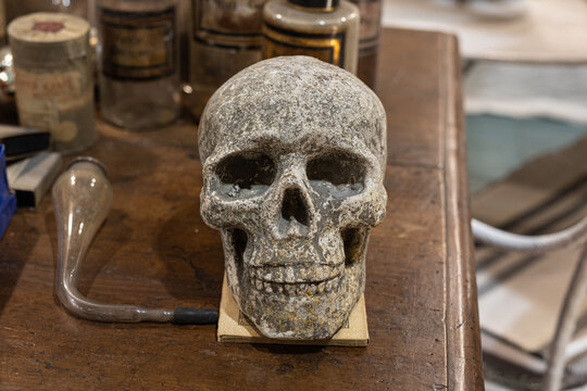 Human Skull Ornament Leaning on a Wooden Cabinet