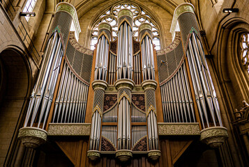 gotic organ