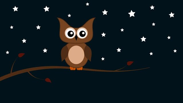 Owl opening and closing its eyes with starry sky and green background - animation