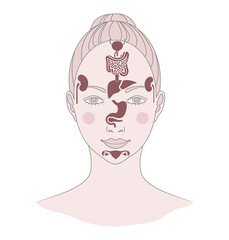 Markers of reflexology zones. Projection of the internal organs on the face of a woman. Isolated on white background