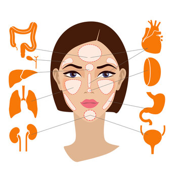 Markers of reflexology zones. Projection of the internal organs on the face of a woman. Isolated on white background