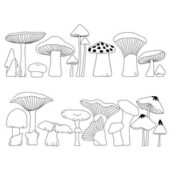 Hand drawn mushroom plant collection in doodle art style on white background