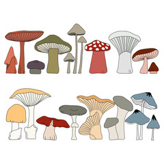 Hand drawn mushroom plant collection in doodle art style on white background