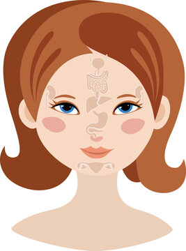 Markers of reflexology zones. Projection of the internal organs on the face of a woman. Isolated on white background