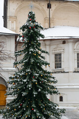 Christmas tree in the snow on a winter day on the territory of the temple complex of the Novospassky Stavropegic Monastery