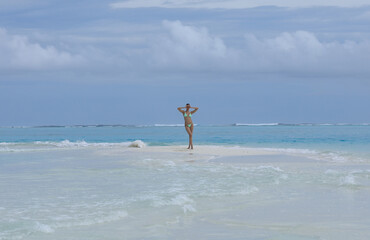 beautiful girl in a bikini on the seashore on the island