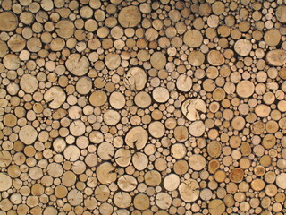 Wood logs for background