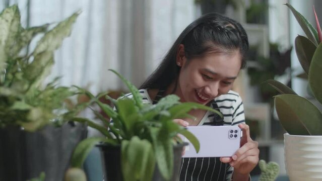 Close Up Of Smiling Asian Woman Holding Smartphone And Taking Photos Of Plants At Home
