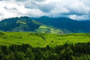 Obraz premium landscape with clouds, mountains and cypress forest