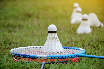 Badminton shuttlecocks and badminton rackets on grass lawn, soft and selective focus, outdoor badminton playing afterwork or free times activity in daily life concept.