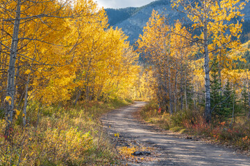 Fall colors in Kananaskis in Alberta, Canada 