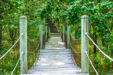 釧路湿原　北斗展望台に続く道
