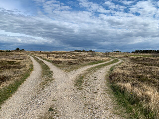 links oder rechts - zwei Wege in einer Landschaft vor dramatischem Himmel