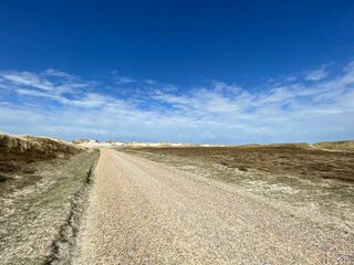 Naklejka premium Kiesweg zu einem einsamen Strandabschnitt durch eine anmutige Heidelandschaft mit weißen Sanddünen im Hintergrund