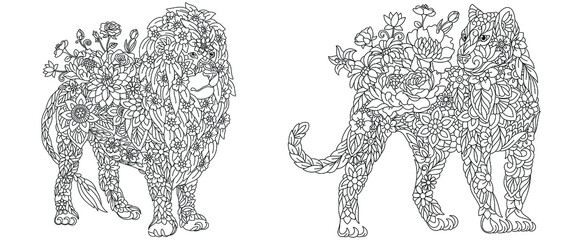 Lion and panther coloring pages