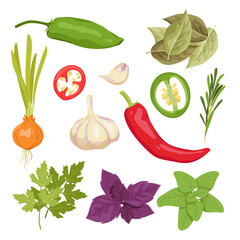 Set of different food flavoring spices. Plants and vegetables for cooking, various aromatic ingredients, pepper and parsley leaves, onion and garlic, special taste vector illustration