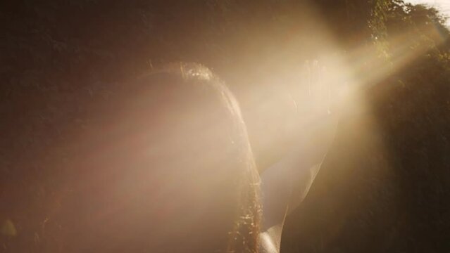 A young woman with long hair closes her hand against the bright sun. Body-positive lush culture. Rays and glare at sunset