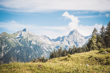 Fototapeta premium Landschaft