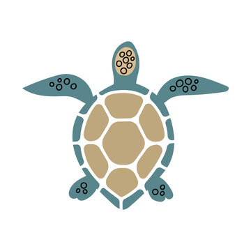 Sea Turtle. Vector color hand drawn illustration isolated on white background.