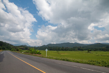 road in nature a beautiful