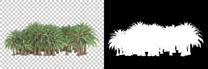 Fototapeta premium Tropical island isolated on background with mask. 3d rendering - illustration