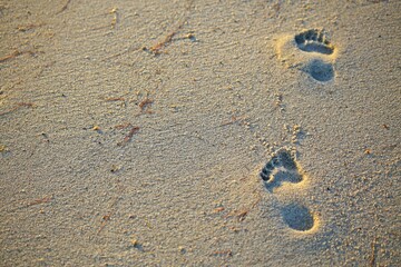 Fototapeta na wymiar Footprints of barefoot adult person walking on the beach sand. Two feet prints in the wet sand.