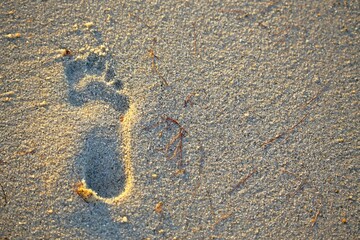 Footprints of barefoot adult person on the beach sand. Left foot print in the wet sand.