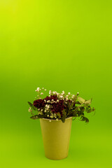 Flowers in a paper cup