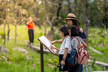 Mother and children reading information board for travel in flower field on summer holiday season