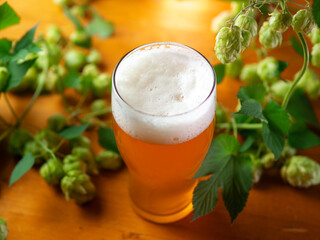 Craft beer ipa, wooden table and green hop cones - obrazy, fototapety, plakaty
