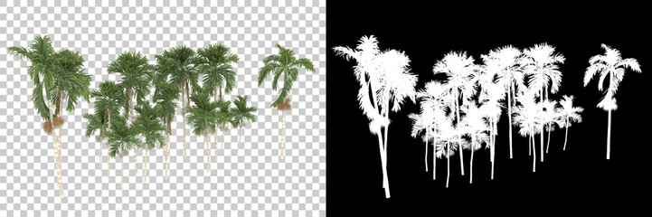 Fototapeta na wymiar Tropical trees isolated on background with mask. 3d rendering - illustration
