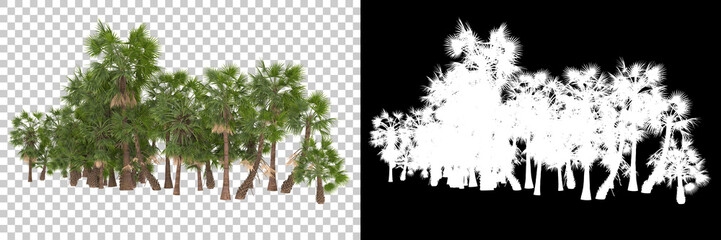 Tropical trees isolated on background with mask. 3d rendering - illustration