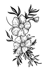illustration black and white flower patterns leaves