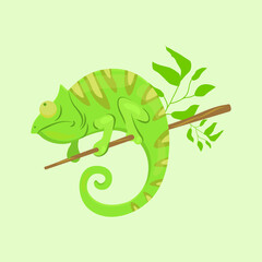 Green chameleon on the branch. Cartoon colour vector illustration.