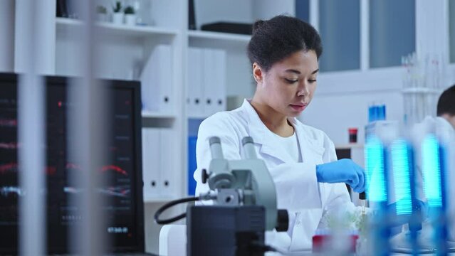 Black female scientist dripping fertilizer sample on test plant, quality control
