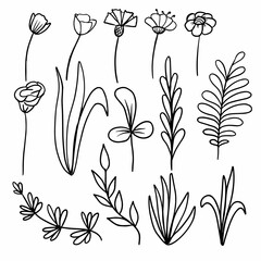 Botanical set, line style hand drawn flowers and plants. Floral elements for design projects. Vector illustration.
